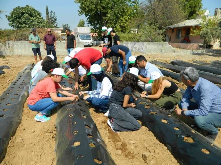 Öğrenciler okulun bahçesine çilek fidesi dikti
