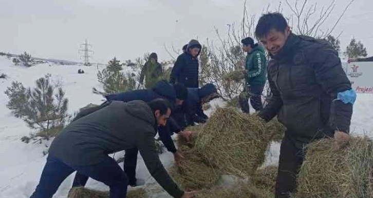 Öğrenciler yaban hayvanları için yem bıraktı