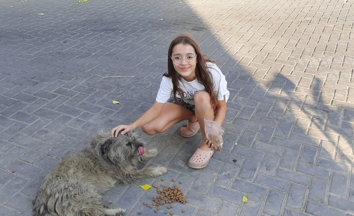 Öğrencilerin harçlıkları can dostlara mama oldu
