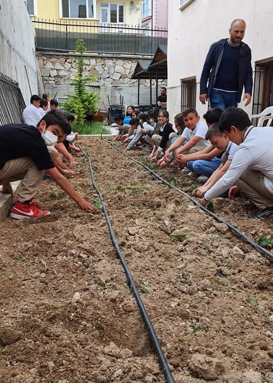 Okul bahçesinde organik tarım projesi
