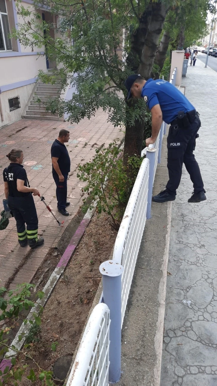 Okul bahçesinde yılan paniği
