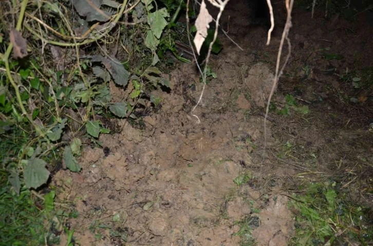 Ölen bebeği 23 gün çatıda saklamış, sonrasında tarlaya gömmüş
