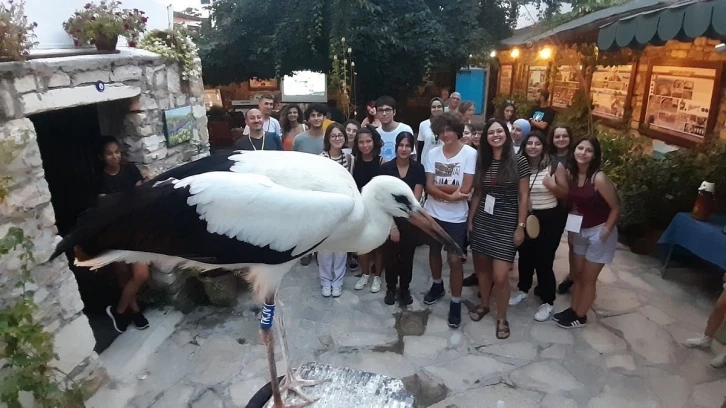 Ölmek üzereyken bulunan leylek yavrusu sağlığına kavuştu
