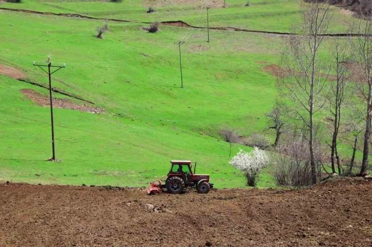 Ordu’da 18 bin dönüm atıl arazi üretime kazandırıldı
