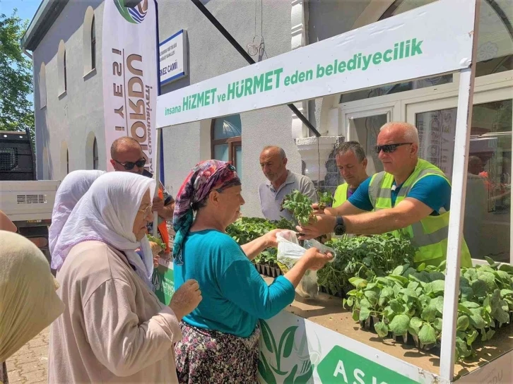 Ordu’da 200 bin fide toprakla buluşturuldu
