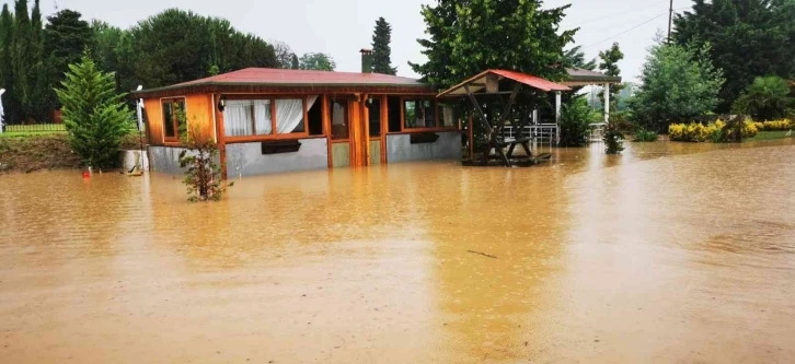 Ordu’da dereler taştı, kümes hayvanları telef oldu
