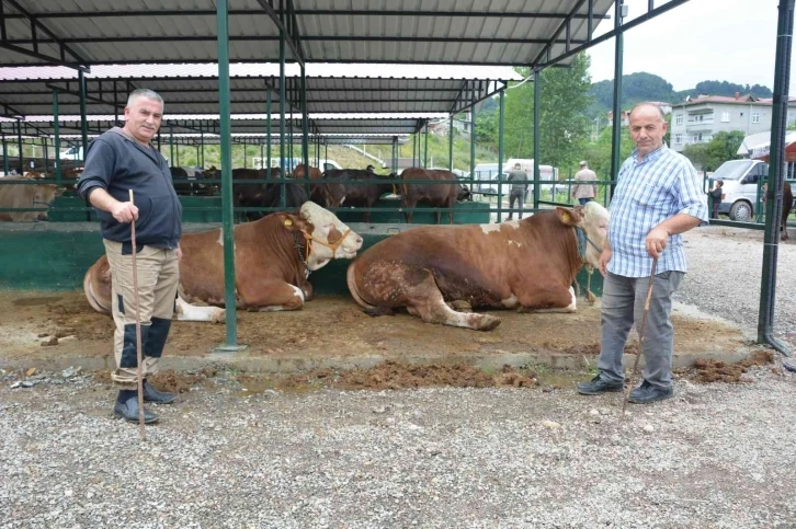 Ordu’da ikinci el araç fiyatına kurbanlıklar satışta
