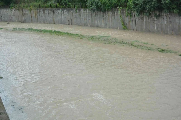 Ordu’da sağanak yağış etkili oldu
