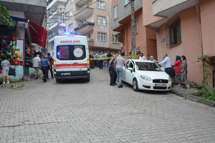 Ordu’da su meselesi kavgası kanlı bitti: 2 yaralı
