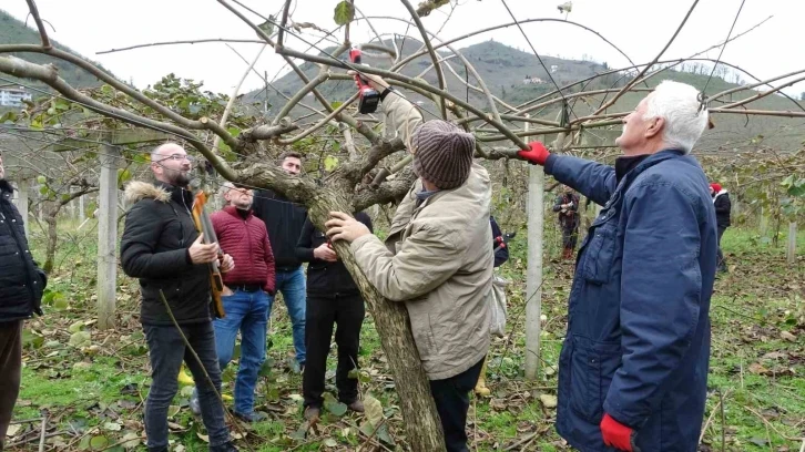 Ordu’da vatandaşlara ‘kivi budama’ eğitimi
