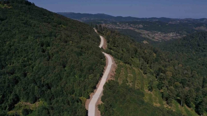 Ordu’da yaylalar ‘yeşil yol’ ile birleşiyor
