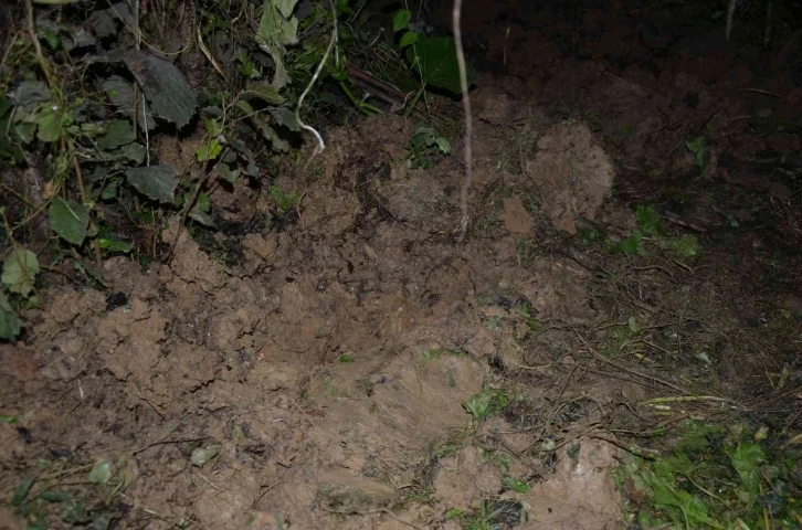 Ordu’da yeni doğmuş bebek toprağa gömülü olarak bulundu
