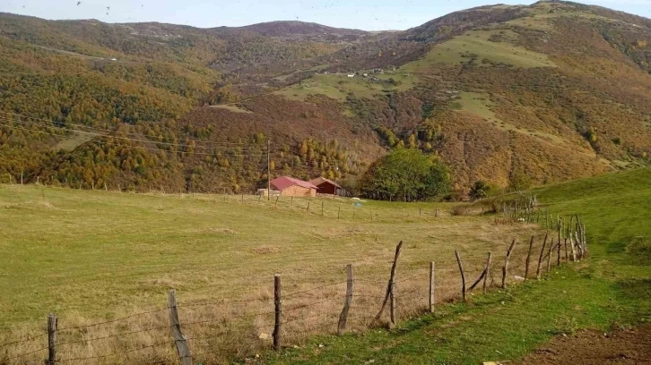 Ordu’nun yaylalarında sonbahar güzelliği
