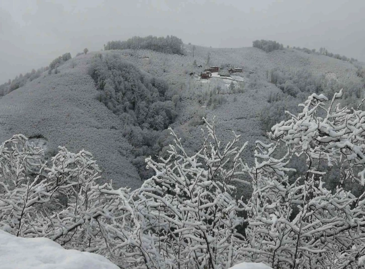 Ordu’nun yüksek kesimlerinde kar yağışı etkili oldu
