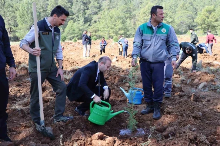 Orman Haftası’nda Köyceğiz’de fidan dağıtımı ve dikimi yapıldı
