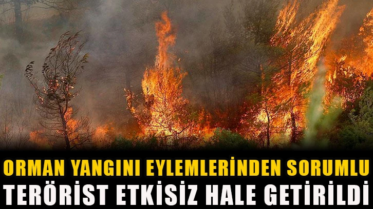 Orman yangını eylemlerinden sorumlu terörist etkisiz hale getirildi