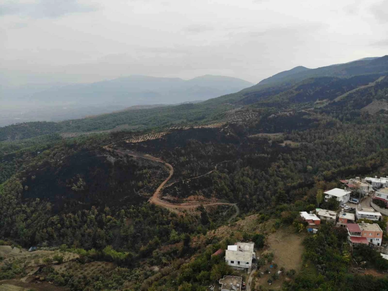 Orman yangınında küle dönen alan drone ile görüntülendi
