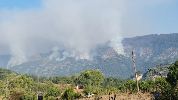 Orman yangınını söndürme çalışmaları 22 saattir sürüyor
