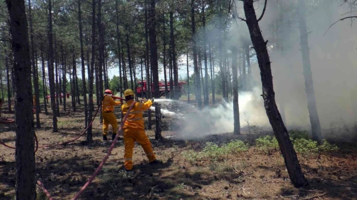 Orman yangınları ile mücadelede işbirliği konuşuldu
