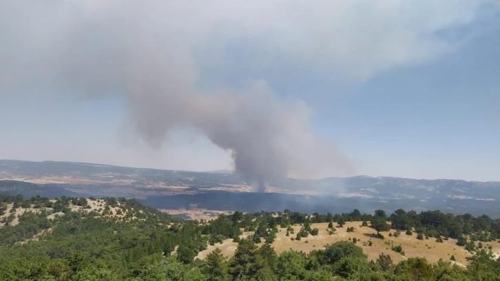 Ormana sıçrayan anız yangını yerleşim yerlerine doğru ilerliyor
