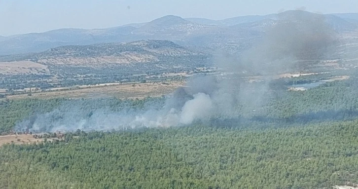 Ormanlık alanda çıkan yangın kontrol altına alındı
