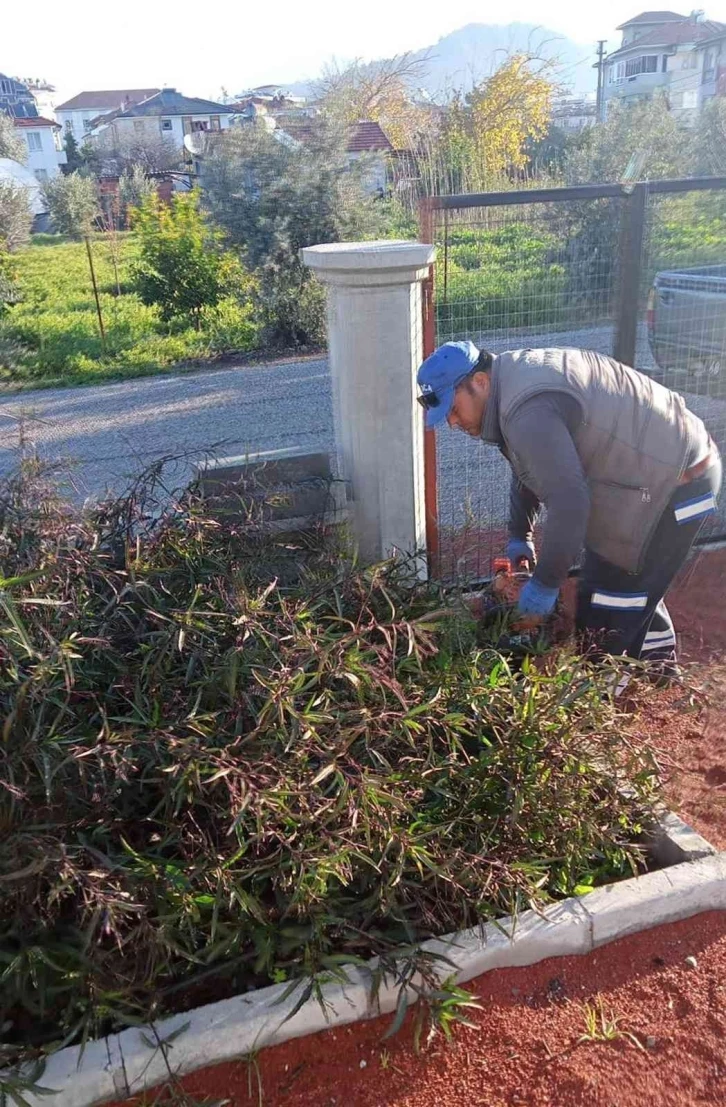 Ortaca’da yeşil alan bakımları devam ediyor
