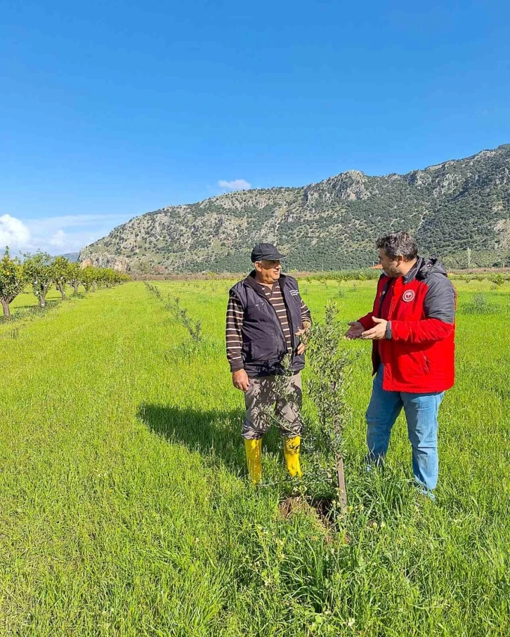 Ortaca Tarım Müdürlüğü üreticileri bilgilendirdi
