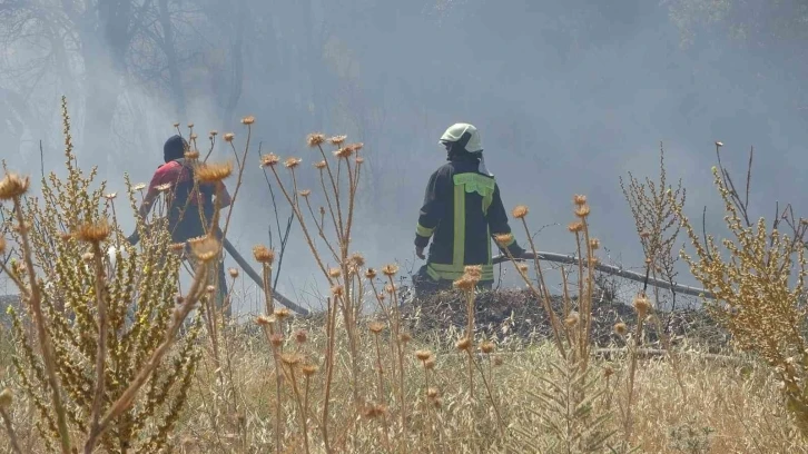 Örtü yangınında arı kovanları ve ağaçlar küle döndü
