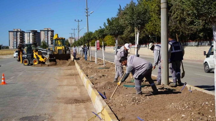 OSB yolunda ağaçlandırma çalışması
