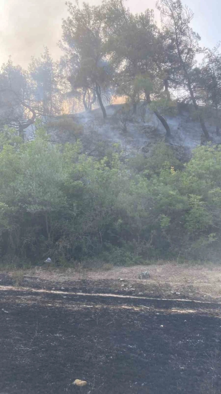 Osmaneli’de çıkan orman yangını büyümeden söndürüldü
