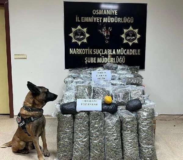 Osmaniye’de 69 kilo skunk ele geçirildi 