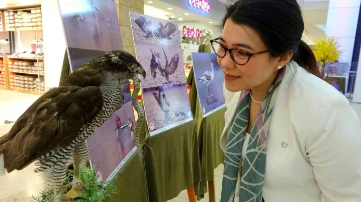 Osmaniye’de ‘Göçler Güç Olmasın’ fotoğraf sergisi
