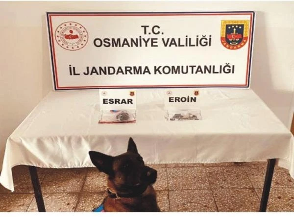 Osmaniye’de jandarmadan uyuşturucu operasyonları: 1 tutuklu