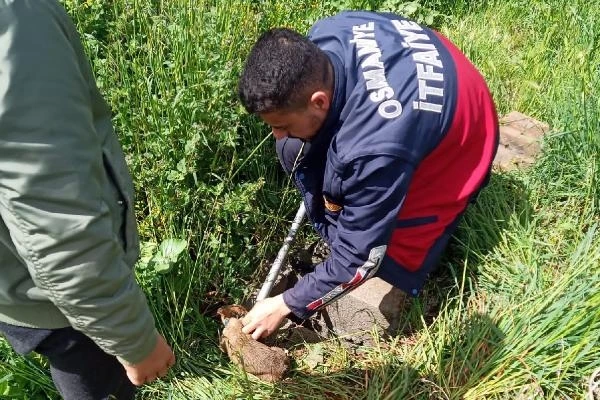 Osmaniye’de kuyuya düşen 4 yavru köpeği, itfaiye ekipleri kurtardı