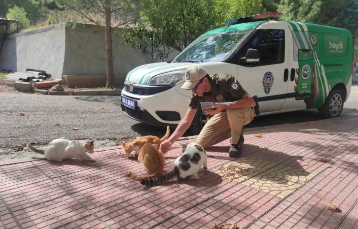 Osmaniye’de sokak hayvanlarına mama bırakıldı
