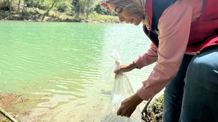 Osmaniye’de Tahta Barajı’na 20 bin pullu sazan yavrusu bırakıldı
