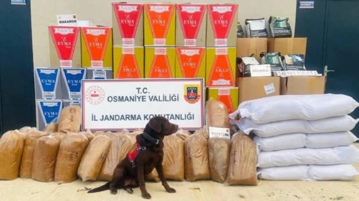 Osmaniye’de 487 kilo kaçak tütün ele geçirildi