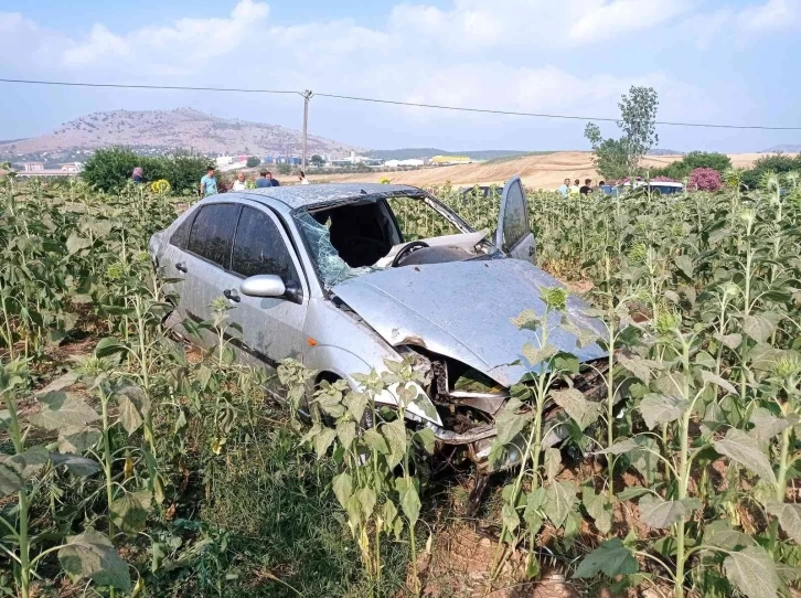 Otomobil ayçiçek tarlasına uçtu: 1 yaralı
