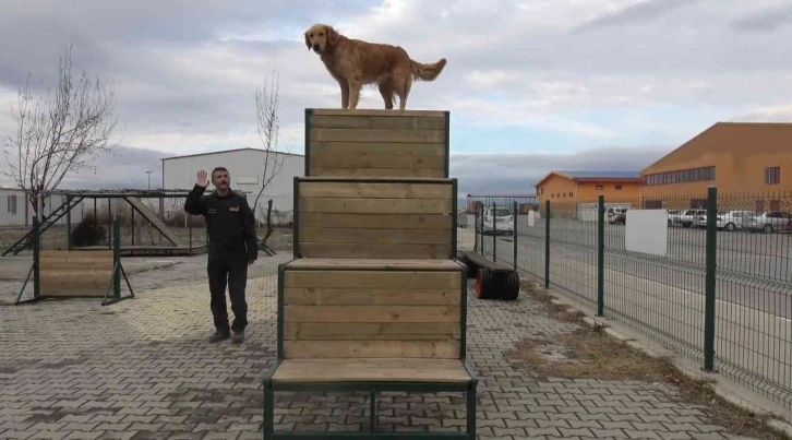 (ÖZEL) Afyonkarahisar’ın hassas burunları Türkiye’nin her yerinde görev yapıyor
