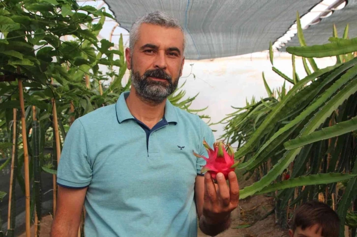 (ÖZEL) Bu meyveyi yetişmek için serasına kamera sistemi ve soba kurdu
