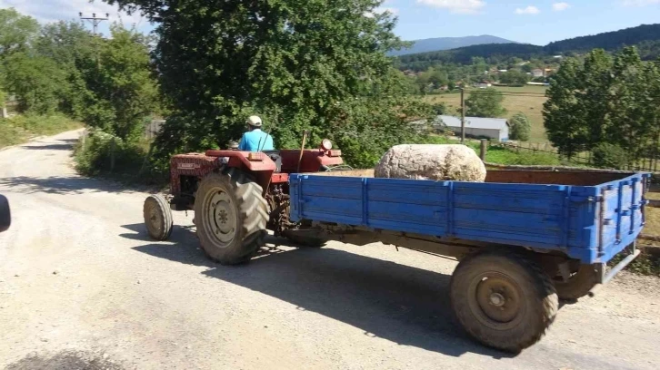 Paha biçilemez sütunlar ünlü ailenin evinden çıkmıştı, köylüler işin peşini bırakmıyor
