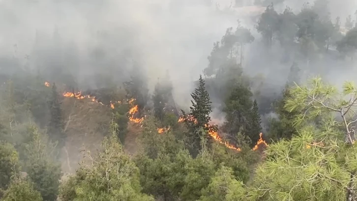 Pamukkale’deki orman yangınında 35 hektar alan zarar gördü
