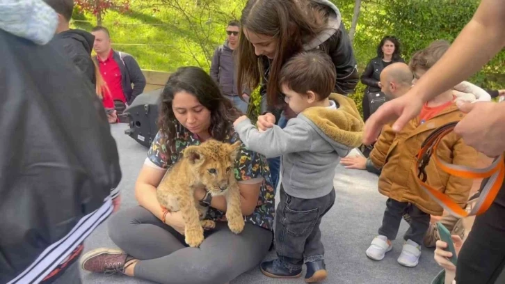 Park Of İstanbul’da 29 Ekim Coşkusu
