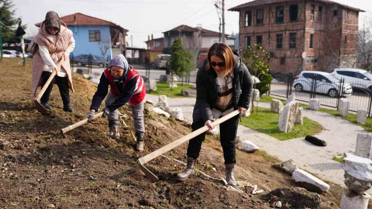 Park ve Bahçeler Müdürlüğü ekipleri bu sefer tarihi kentte kazı yaptı
