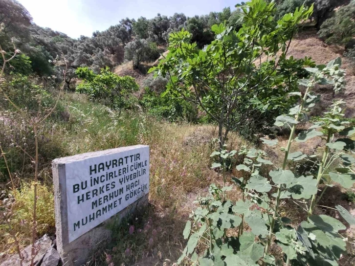 Paylaşmanın önemini gösteren yazı görenlerin içini ısıttı
