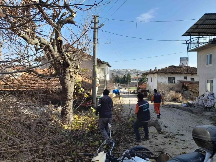 Pazarlar’da ağaç budama çalışmaları
