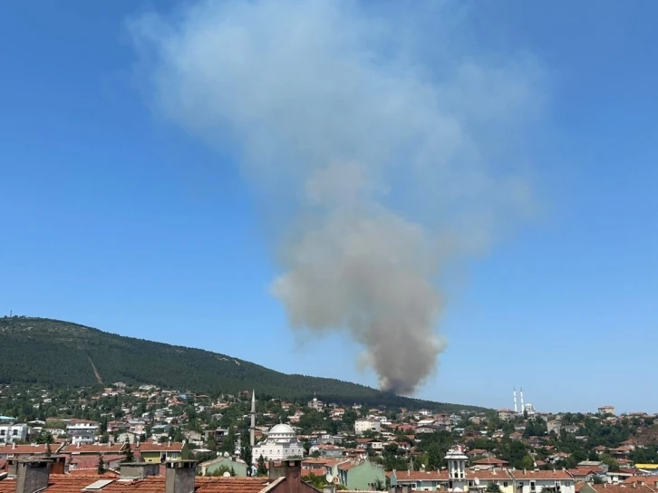 Pendik Aydos Ormanı’nda yangın çıktı. Olay yerine çok sayıda itfaiye ekibi sevk edildi.
