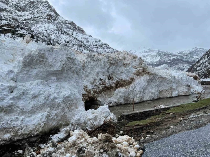 Pervari-Çatak yolu çığ nedeniyle ulaşıma kapandı
