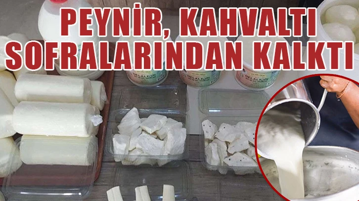 Peynir, kahvaltı sofralarından kalktı