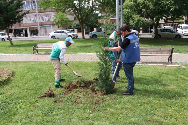 Peyzaj çalışması ile parklar güzelleştiriliyor
